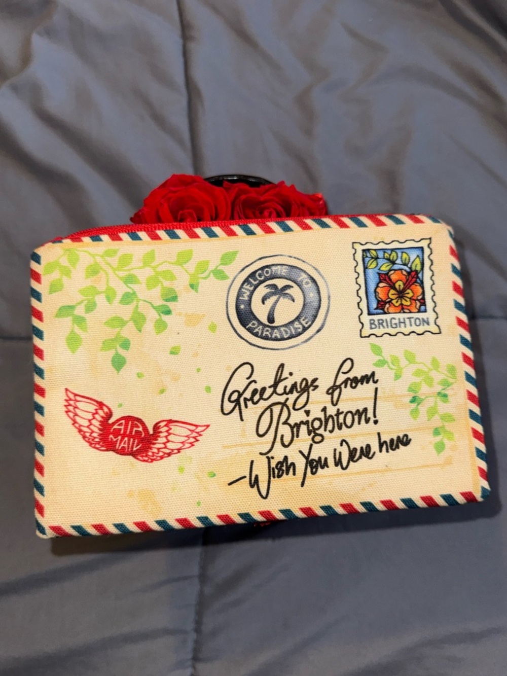 Brighton “Greetings From Brighton” Postcard Zip Pouch Cosmetic Bag Travel Case